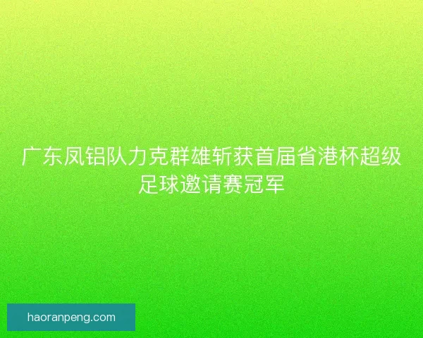 广东凤铝队力克群雄斩获首届省港杯超级足球邀请赛冠军